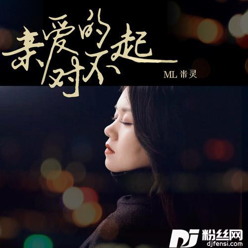 亲爱的对不起（DJ月之歌版）