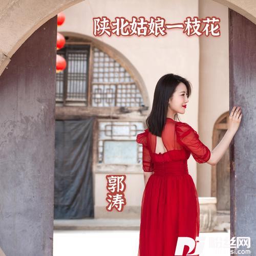 陕北姑娘一枝花的专辑