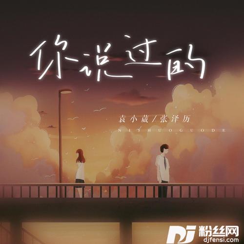 你说过的