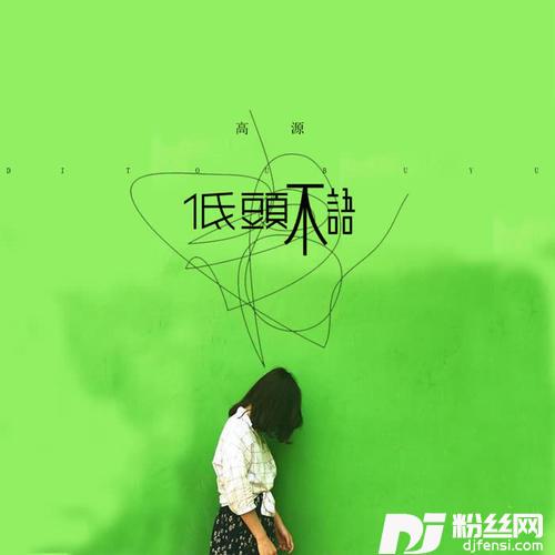 低头不语DJ名龙版