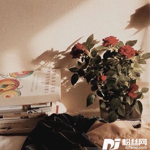 凤凰花开的路口cover:房东的猫|孟慧圆的专辑