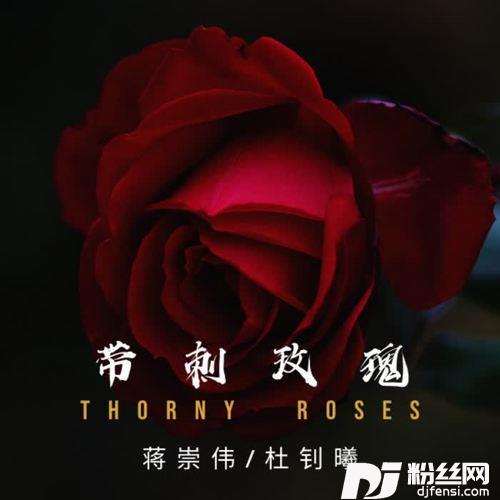 带刺玫瑰