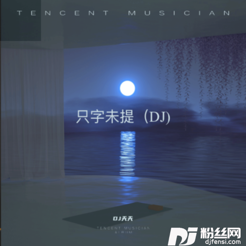 不用你管DJ天天remix的专辑