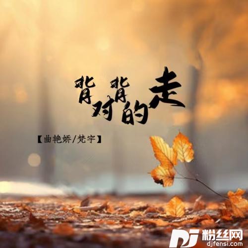 背对背的走的专辑