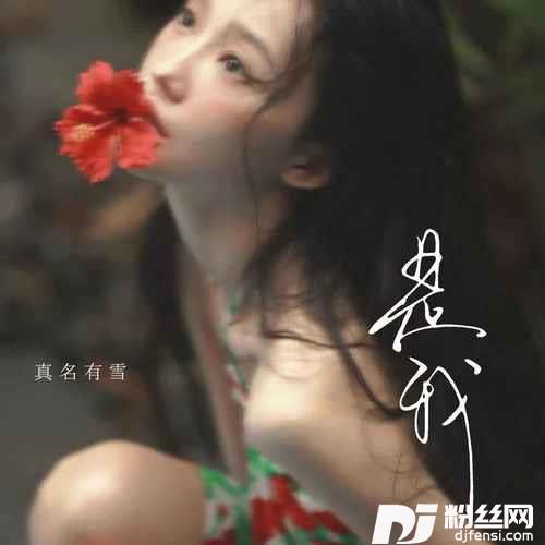 是我的专辑