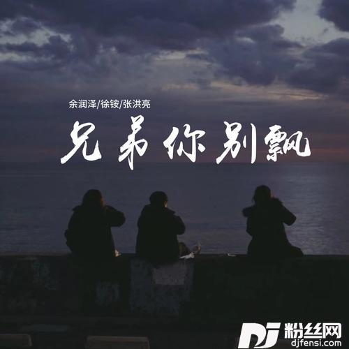 兄弟你别飘DJ大金版