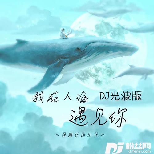 我在人海遇见你DJ光波版