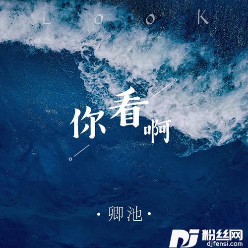 你看啊DJ沈念版的专辑