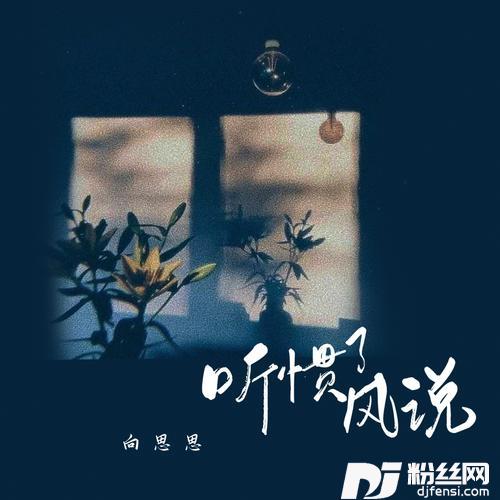 听惯了风说的专辑