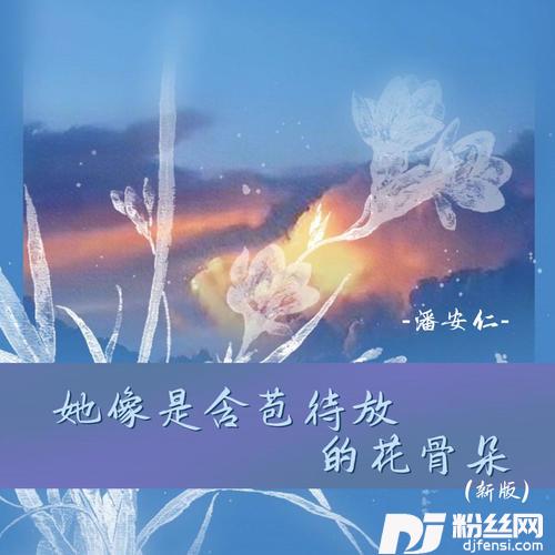她像是含苞待放的花骨朵新版的专辑