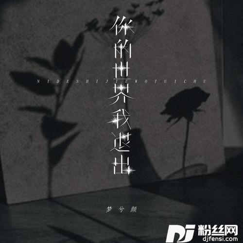 你的世界我退出女版DJ可乐版