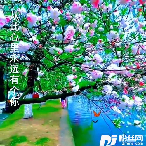 从此心里有个你山歌版