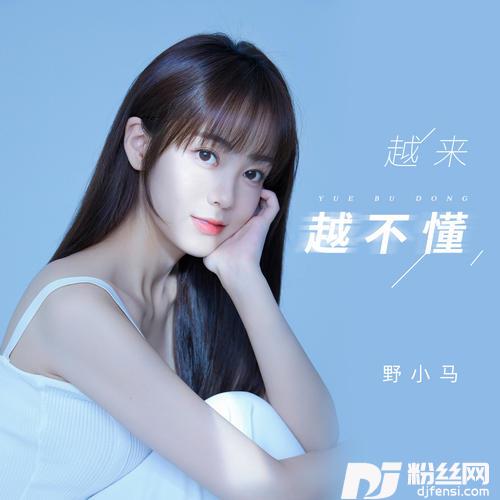 越来越不懂的专辑