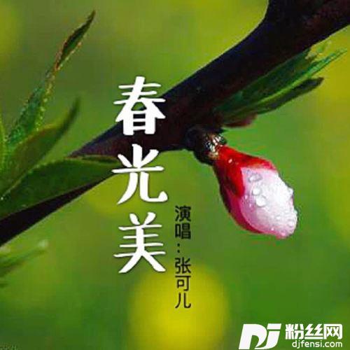 春光美