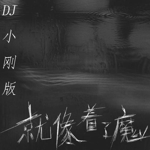 就像着了魔（DJ小刚版）
