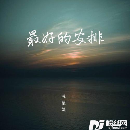 最好的安排释怀版的专辑