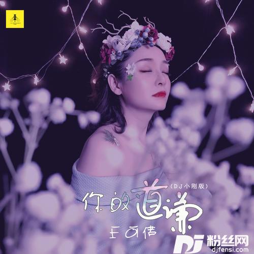 你的道歉DJ小刚版