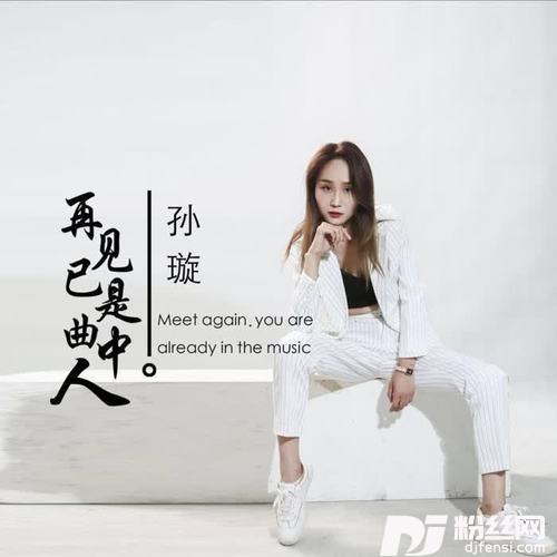 再见已是曲中人的专辑