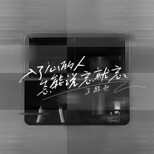 入了心的人怎能说忘就忘的专辑