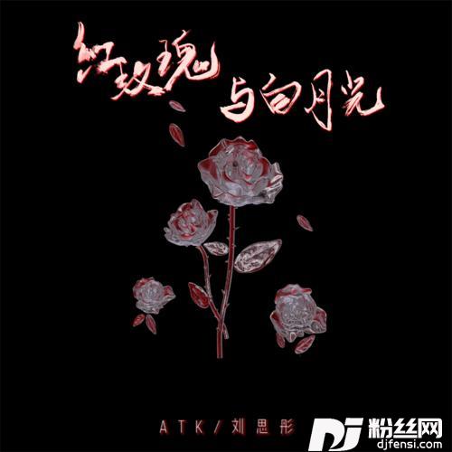 红玫瑰与白月光的专辑