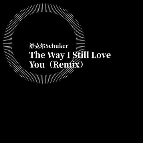 TheWayIStillLoveYouremix:ReynardSilva