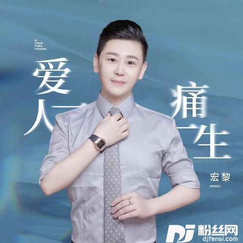 爱一人痛一生（DJ）