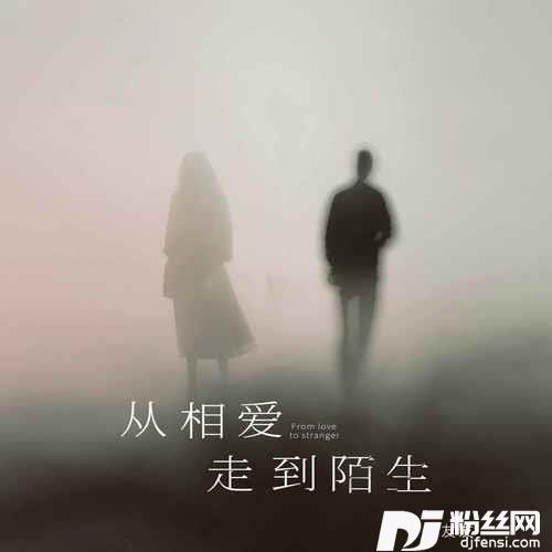 从相爱走到陌生的专辑