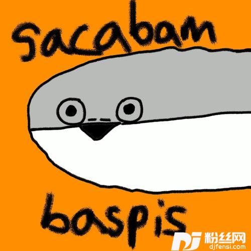 Sacabambapis