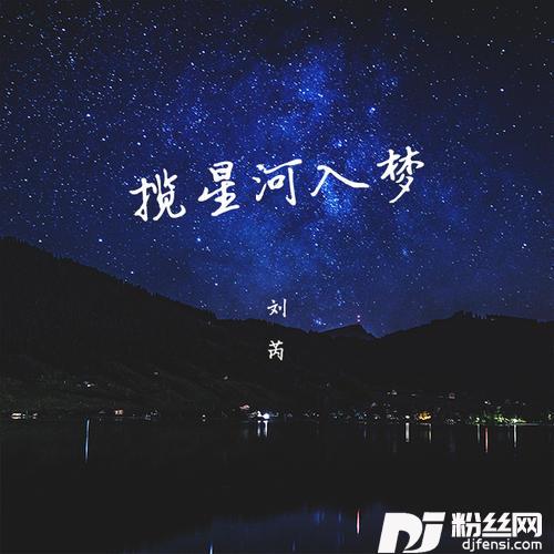 揽星河入梦DJ德朋版
