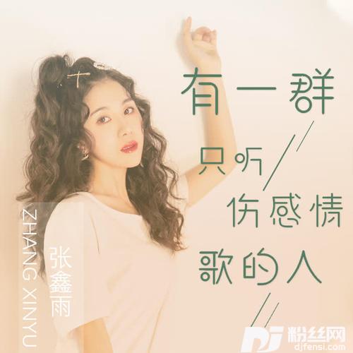 有一群只听伤感情歌的人DJ版