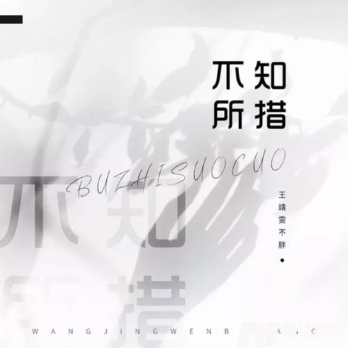 不知所措的专辑