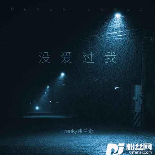 没爱过我