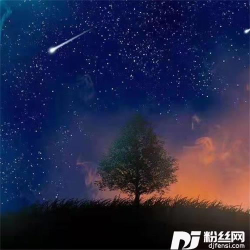 你是我在我世界里的一束光