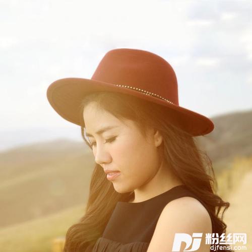 中国美草原美DJ豆子版的专辑
