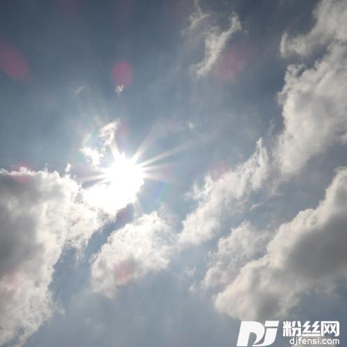 没有情人的情人节cover:孟庭苇