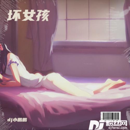 坏女孩cover:徐良|小凌