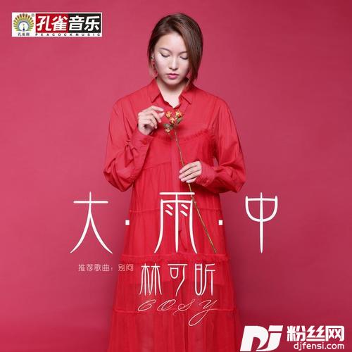 大雨中的专辑