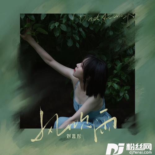 风吹雨的专辑