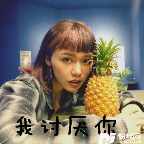 我讨厌你的专辑