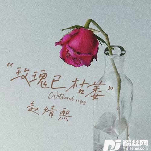 玫瑰已枯萎的专辑