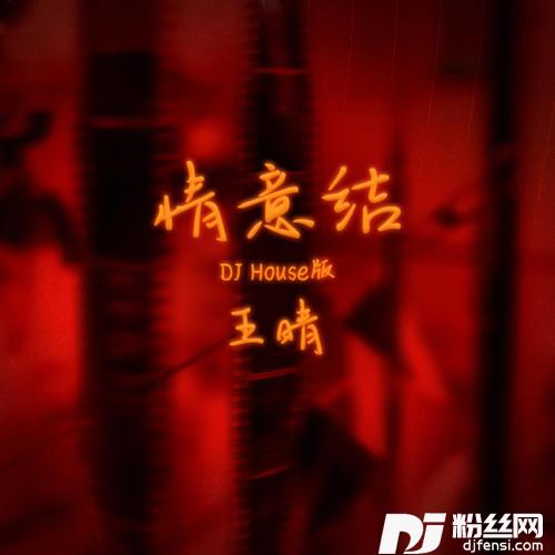 情意结DJHouse版