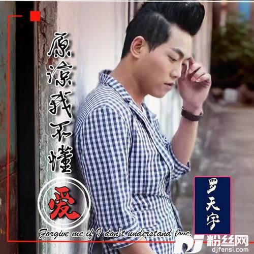 原谅我不懂爱
