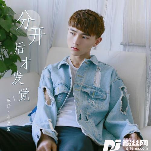 分开后才发觉的专辑