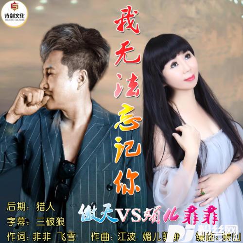 我无法忘记你