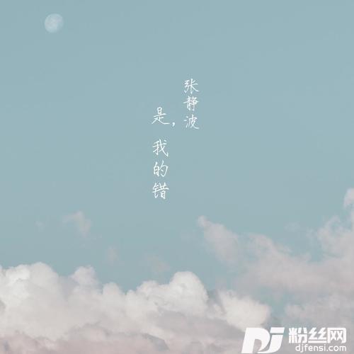 是，我的错的专辑