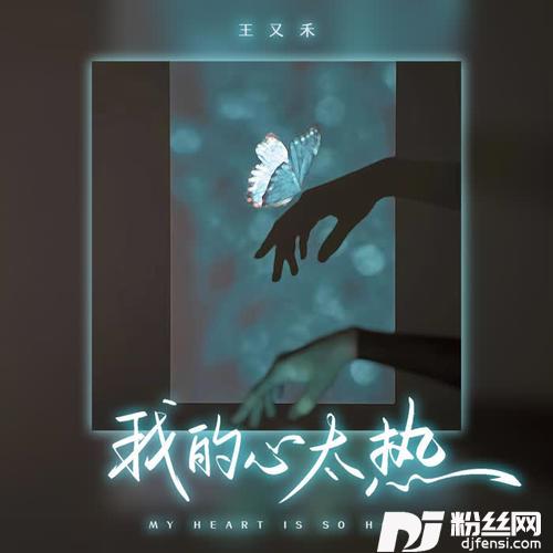 我的心太热DJ彭锐版
