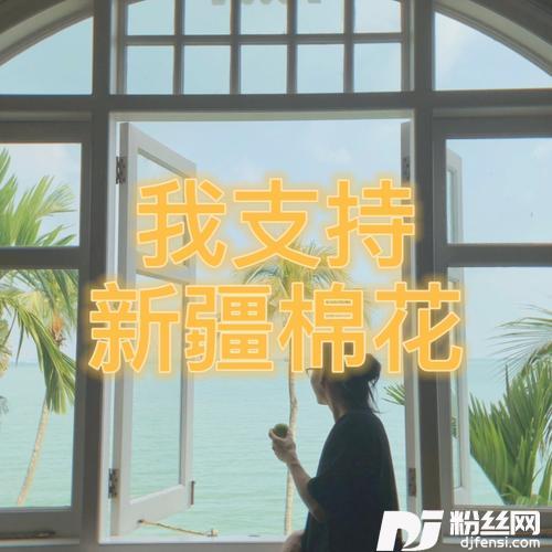 我支持新疆棉花（世界顶级的长绒棉）的专辑