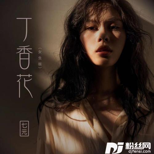 丁香花DJ花哨版