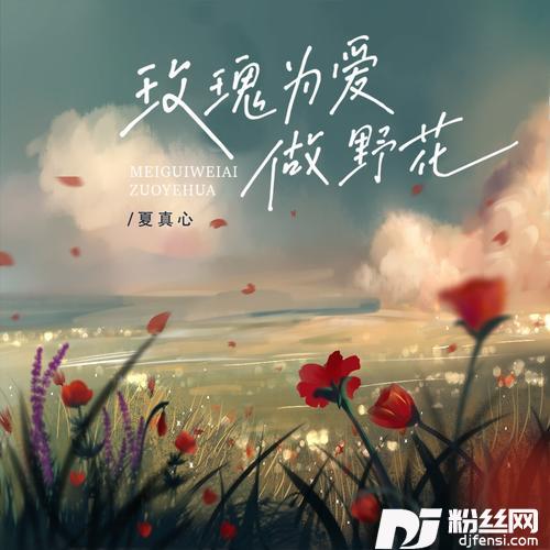 玫瑰为爱做野花的专辑