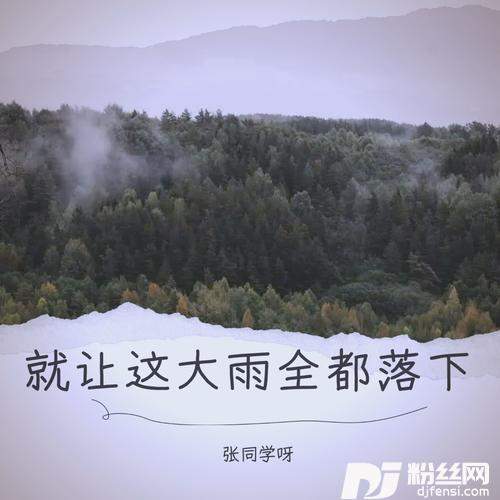 就让这大雨全都落下cover:布叮x